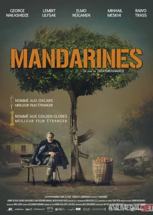 Mandarinlar Estoniya filmi Uzbek tilida O'zbekcha 2013 tarjima kino Full HD tas-ix skachat