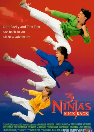 Uch Ninza 2 : Javob Zarbasi / 3 Nindzya 2 1994 HD Uzbek tilida Tarjima kino Skachat