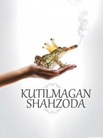 Kutilmagan Shahzoda 2013 HD Uzbek tilida Tarjima kino skachat