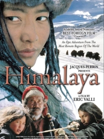 Himolay HD 1999 tasix